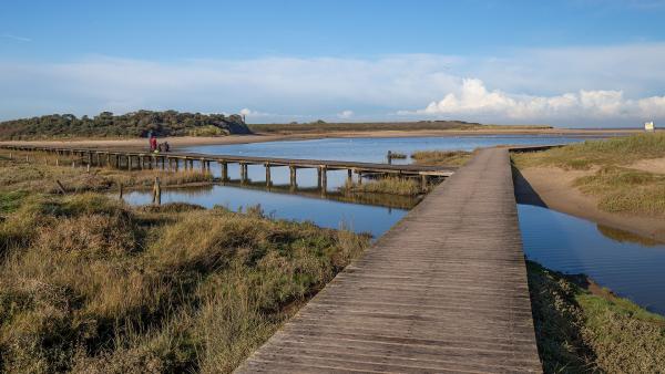 Plankierpad door de Zwarte Polder