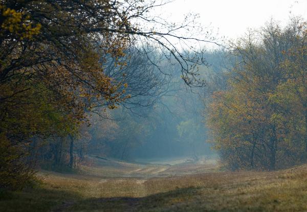 Wandelpad in Oranjezon