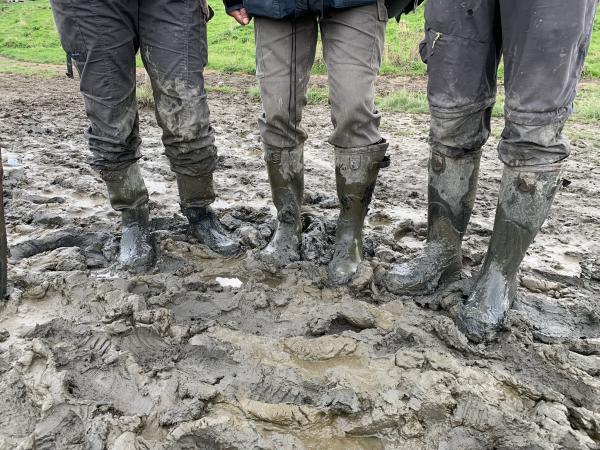 Laarzen in het landschap van Saeftinghe