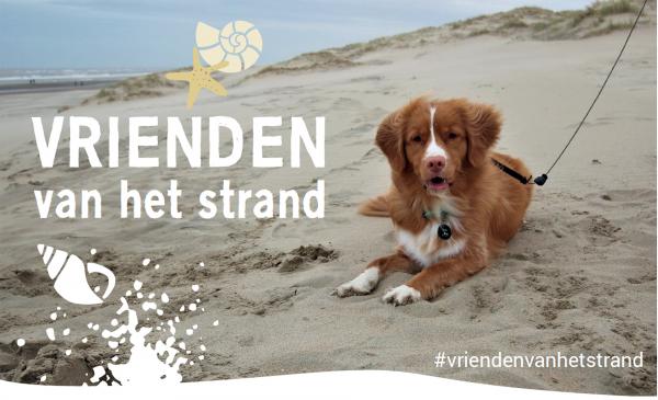 Campagnebeeld "Vrienden van het strand"