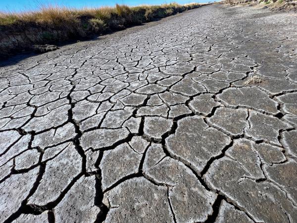 Droogte Yerseke Moer