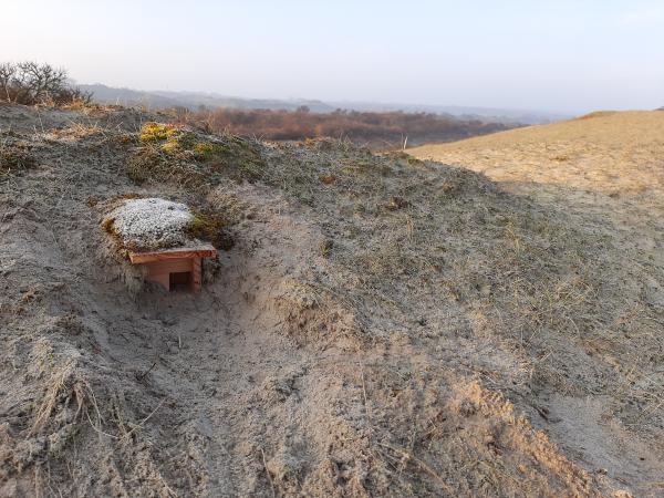 Tapuitenkast in Oranjezon