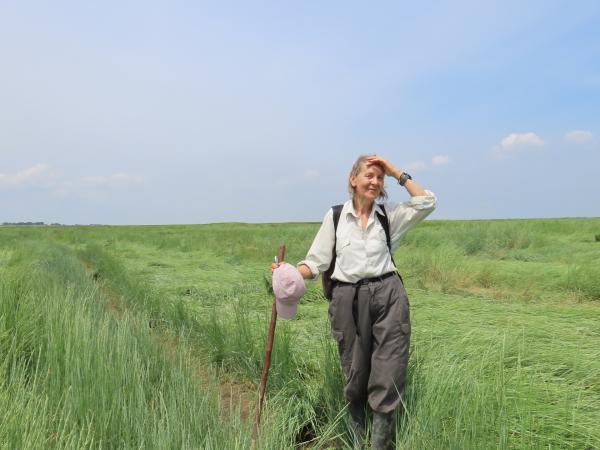 Foto in Saeftinghe van gids Katelijne Damen