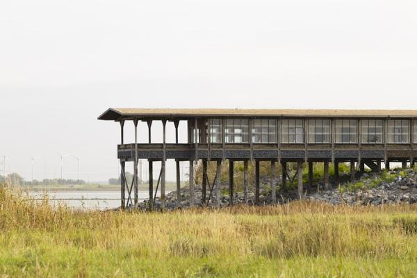 Foto veldstation Saeftinghe