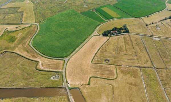 Luchtfoto Yerseke Moer