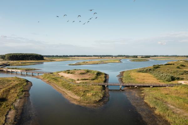 Een dronebeeld van Waterdunen