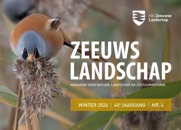 Banner Winternummer 2024