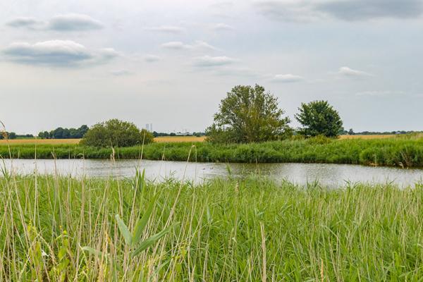 Zicht op de kreek Westerschenge