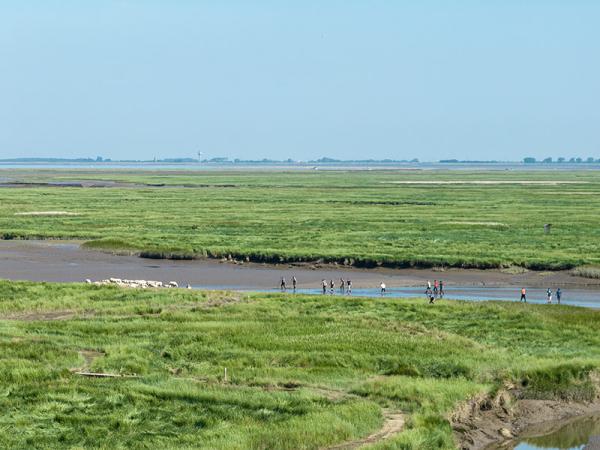 Verdronken Land van Saeftinghe