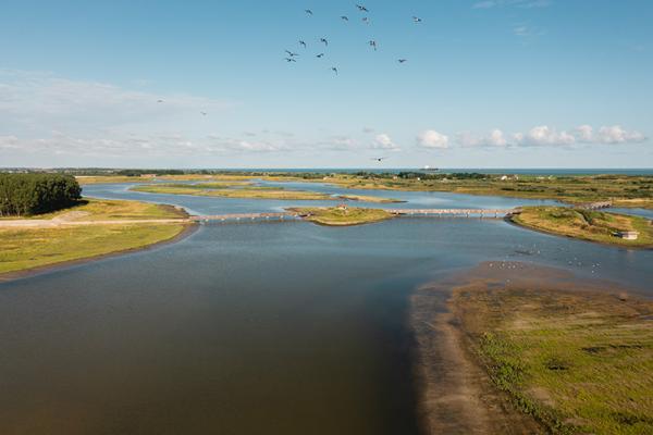 Water in Waterdunen luchtfoto