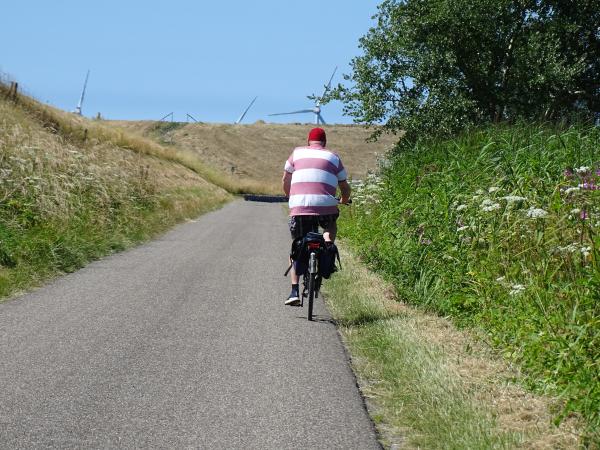 Fietser fiets door het landschap van Noord-Beveland