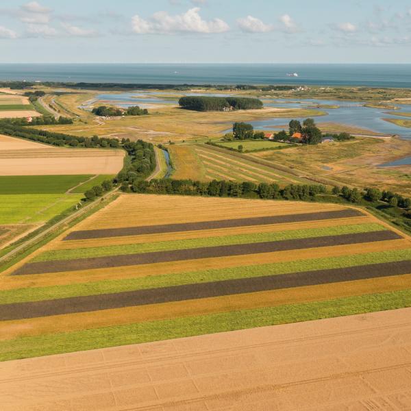 Luchtfoto Strokenteelt Groede