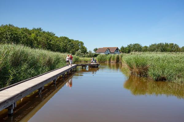 Vlonderpad door de Groese polders