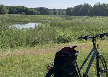 Fietsexcursie Waterwinbossen