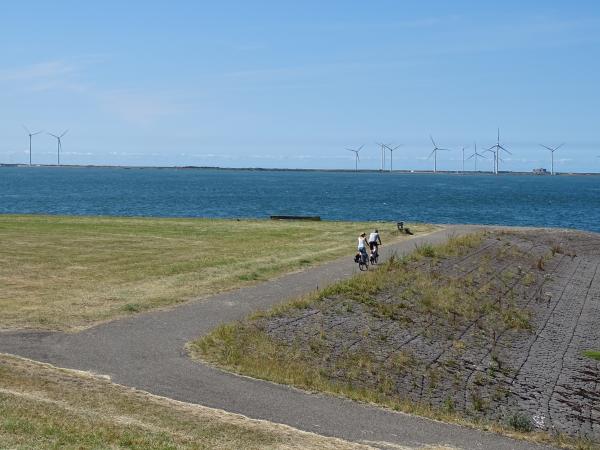 Fietsers fietsen door Noord-Beveland