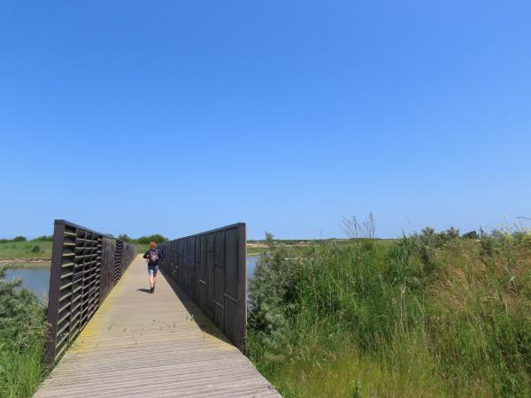 Wandelaar in Waterdunen