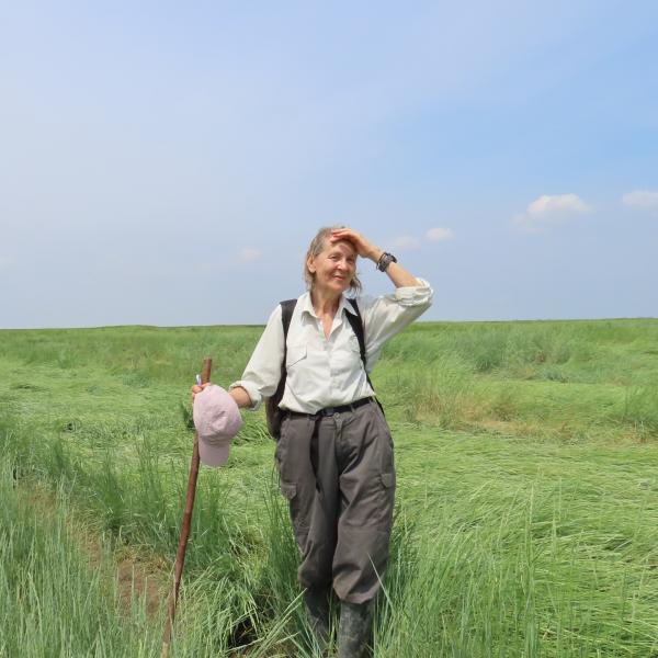 Foto in Saeftinghe van gids Katelijne Damen