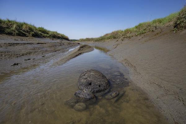 Geul in Saeftinghe met veenblok