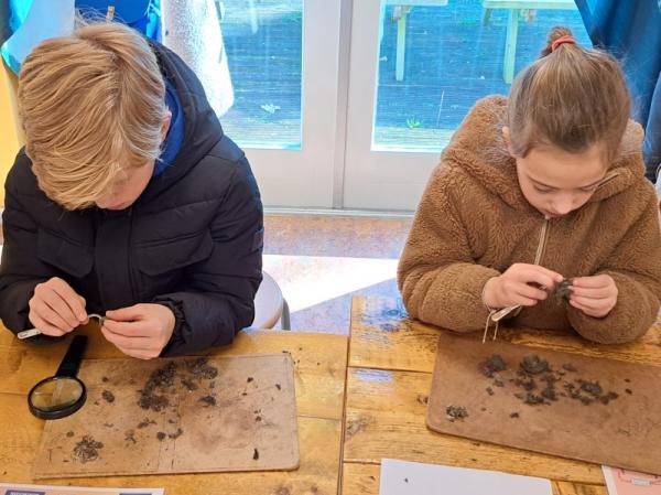 Twee kinderen pluizen braakballen van uilen en roofvogels met een pincet