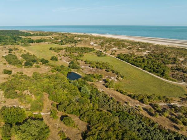 Luchtfoto natuurgebied Oranjezon met duinen, strand en zee