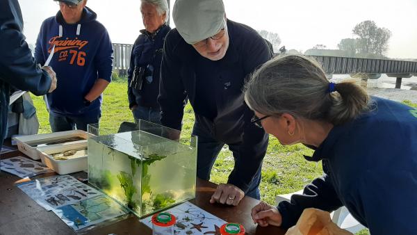 Waterleven aquarium Waterdunen