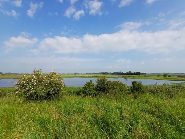 Oude Veerweggebied foto van dijk met zicht op water