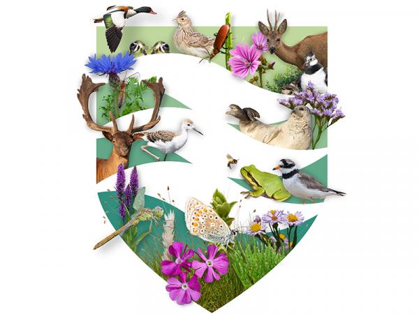 Het Zeeuwse Landschap - logo het Zeeuwse Natuurfonds