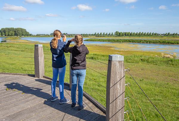 Uitkijkvlonder Sophiapolder