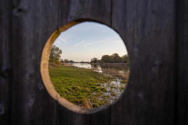 Kijkscherm Slikken van de Heen