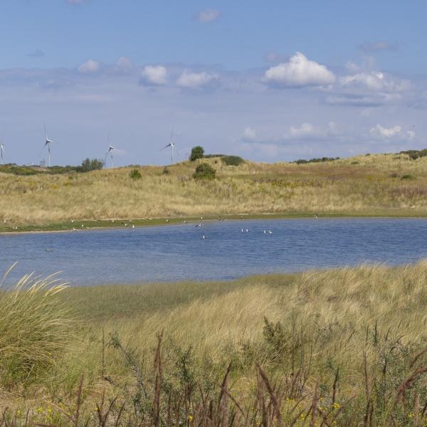 Wandelen Walcheren, Neeltje Jans, Zeeland