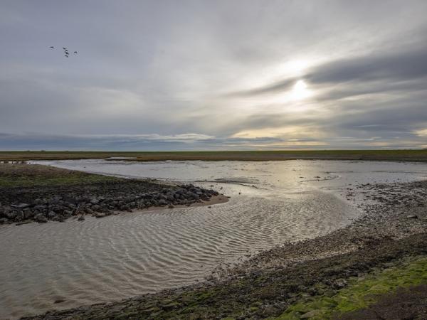 Wandelen Noord-Beveland, Zeeland, Oesterput