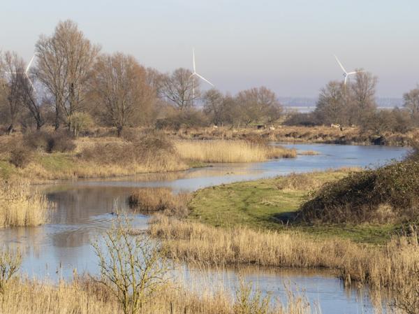 Wandelen Sint Philipsland, Zeeland, Slikken van de Heen