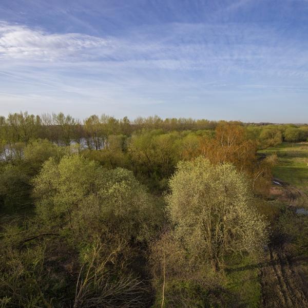 Wandelen Tholen & Sint Philipsland, Slikken van de Heen