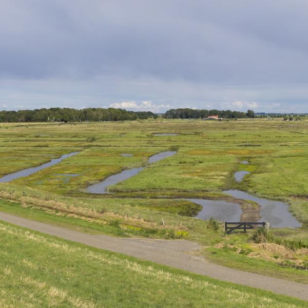 Wandelen Zuid-Beveland, Yerseke Moer