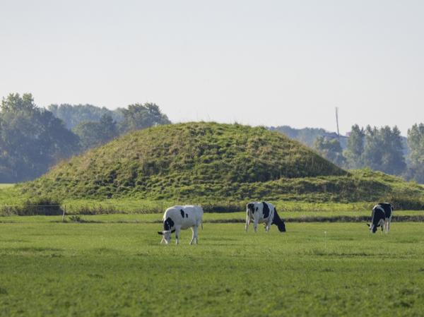 Fietsen Walcheren - Hoogelande Vliedberg