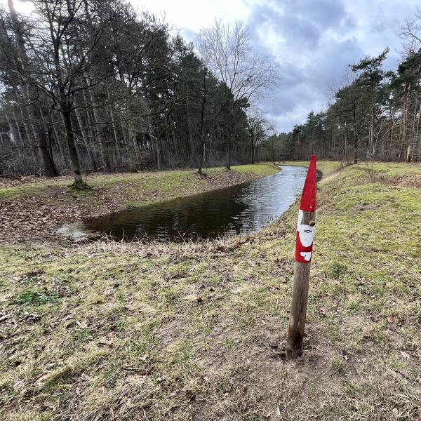 Wandelen Zeeuws-Vlaanderen - Waterwinbossen, Clingse Bossen