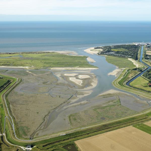 Wandelen Zeeuws-Vlaanderen - Het Zwin