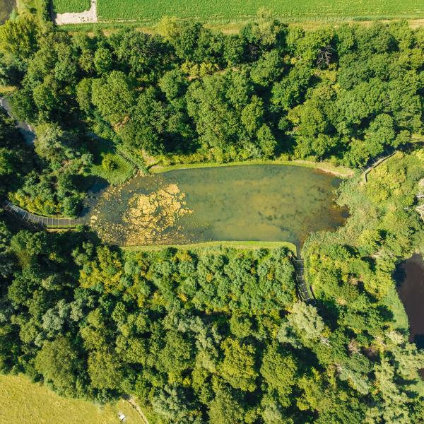 Eendenkooi in Zeeland - Sint Philipsland