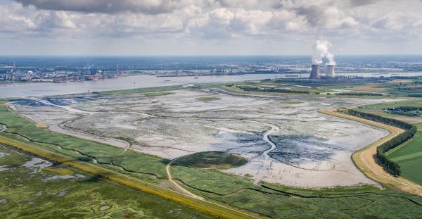 Helicopterview over Hedwigepolder