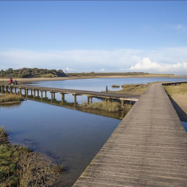 Natuur in Zeeland - Verdronken Zwarte Polder