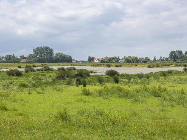 Natuur in Zeeland - Sint Laurense Weihoek