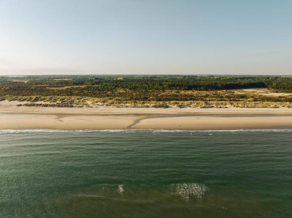 Natuur in Zeeland - duinen en strand bij Oranjezon