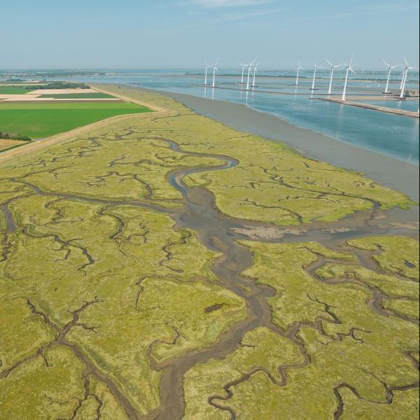 Nationaal Park Oosterschelde - Rumoirtschorren