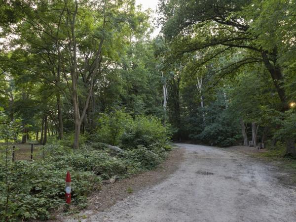 Natuur in Zeeland - Clingse Bossen