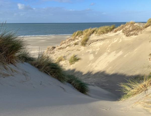 Duinen van Neeltje Jans