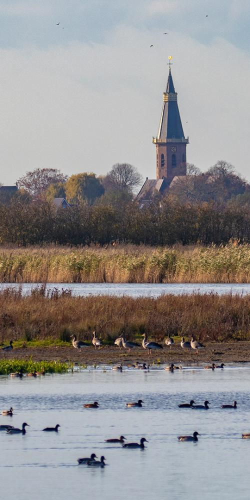 Baarzandse Kreek