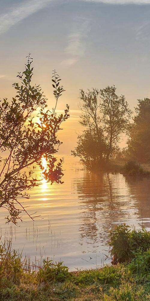 Zonsopkomst aan de Plaat van de Vliet