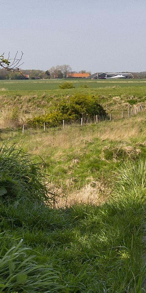 Pad wandelroute Oude Veerse Weg