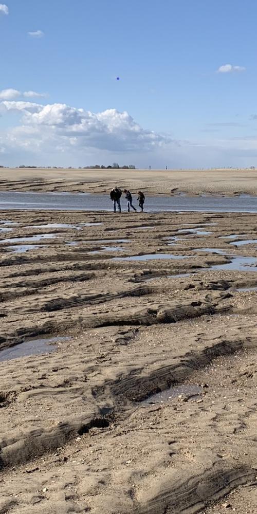 mensen lopen over het strand van Het Zwin