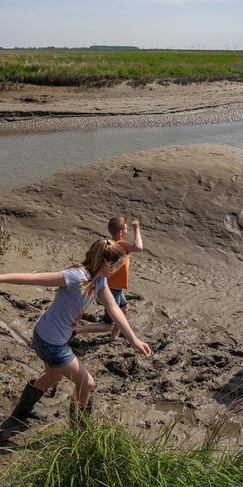 Groep mensen in lanschap Saeftinghe